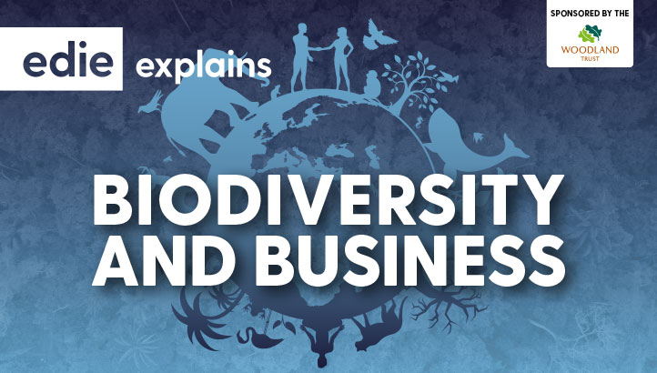 edie Explains: Biodiversity and Business - edie.net